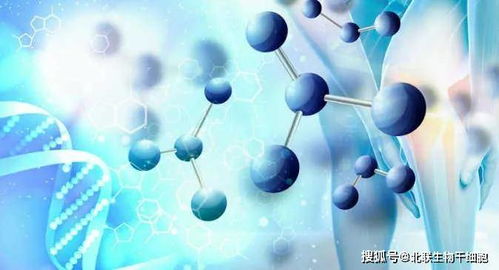 李非博士 干细胞干预糖尿病的科学探索与前景