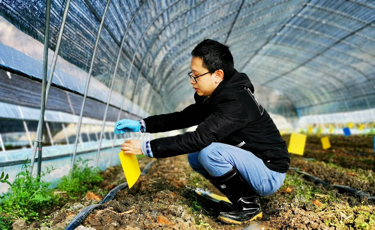 扎根田野，书写大地——记贵州理工学院教授柏松的自然科学研究之路