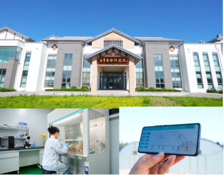 从千年仙草到冬日暖方 现代科技解锁传统草本的内在滋养智慧