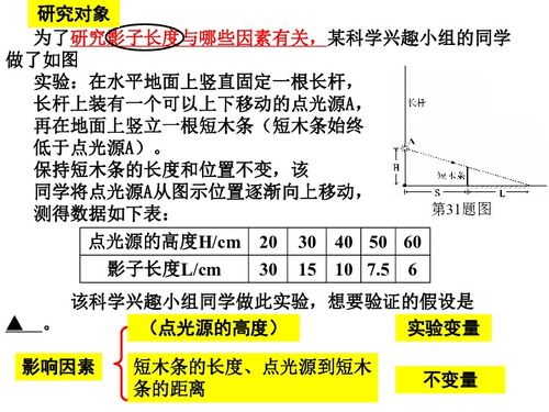 科学探究专题 对比实验设计——自然科学研究的基石与引擎