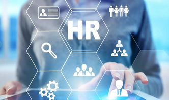 阿里前政委张丽俊 不懂业务战略的传统HR正在被淘汰